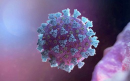 Tế bào T "sát thủ" giúp Nhật có số ca mắc Covid-19 chạm đáy