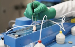 Thuốc Covid-19 của Pfizer "trị được biến thể Omicron"