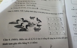 Bà mẹ hỏi cách làm bài Toán lớp 1 của con: "4+5=9" hay "3+6=9" mới đúng, đọc xong cũng tự thấy lú!