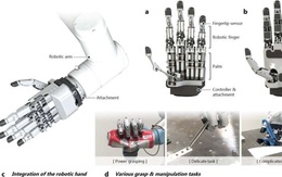 Bàn tay robot linh hoạt như người