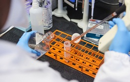 Nghiên cứu ở Anh: 2 mũi vắc-xin Covid-19 không chống nổi Omicron