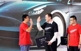 Mô hình mẫu cho ô tô điện Mỹ - Trung