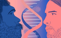 Hơn 1/4 dân số Việt Nam sở hữu DNA của người Neanderthal có tác dụng chống COVID-19