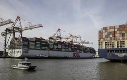 Đây là cách một nhóm các nhà đầu tư lãi đậm, ghi nhận tỷ suất sinh lời hơn 100% nhờ những biến động không ai ngờ tới