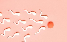 Sau mắc COVID-19, khả năng sinh sản của nam giới bị ảnh hưởng trong bao lâu?