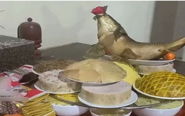 Mẹ chồng bảo lên mâm cỗ lấy đĩa thịt gà, cô con dâu tìm 'mỏi mắt' vẫn không thấy đâu, dân mạng nhìn thấy thì bật cười