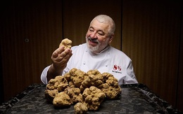 Lý do nào khiến nấm truffle siêu đắt đỏ, hầu như chỉ dành cho giới thượng lưu?