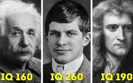 Cuộc đời đầy bất hạnh của thiên tài sở hữu IQ cao nhất thế giới, vượt xa cả Einstein và Newton