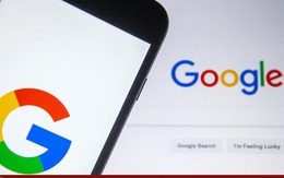 Người Việt tìm kiếm gì nhiều nhất trên Google trong năm 2021?