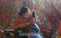 Người lao động, tiểu thương chợ hoa 'ngồi trên lửa' khi dịch COVID-19 bùng phát