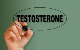 Testosterone “ anh” là ai?