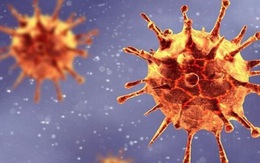 Biến thể COVID-19 của Anh liệu có thực sự nguy hiểm hơn không?