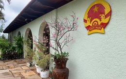 Hoa mai, hoa đào, bánh chưng xanh nơi tâm dịch COVID-19 lớn thứ ba thế giới