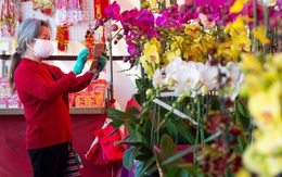 Mỹ: Chợ hoa Tết của người Việt ở khu Phước Lộc Thọ gây bất ngờ