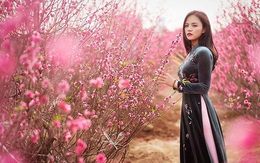 4 mẹo hay khi chụp ảnh bằng smartphone để có những tấm ảnh check-in ngày Tết thật xịn xò