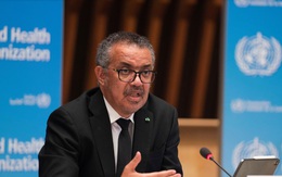 WHO: Mọi giả thuyết về nguồn gốc Covid-19 vẫn còn bỏ ngỏ