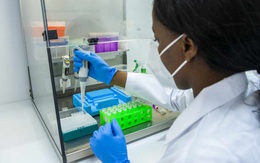 Những người đã khỏi COVID-19 có thể lại mắc biến chủng mới