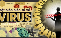 Một biên niên sử về virus: Từ những thiên thần của tiến hóa tới cơn ác mộng COVID-19