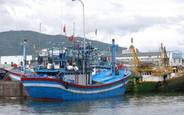 1 ngư dân tỉnh Bình Định mất tích trên biển