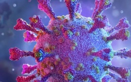 Nhật Bản phát hiện thêm biến chủng mới Covid-19