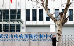 WHO "nóng mặt" vì cuộc điều tra Covid-19 ở Trung Quốc