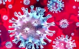 Mỗi ca bệnh COVID-19 đều ẩn chứa cơ hội để virus biến chủng ngẫu nhiên