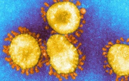 Biến thể COVID-19 mới đã được xác định ở 13 quốc gia là gì?