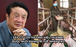 Doanh số smartphone giảm, Huawei chuyển sang... nuôi lợn