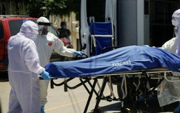 Tiến sĩ Fauci: Gần 500.000 người Mỹ chết vì Covid-19 là dấu mốc kinh khủng