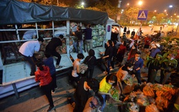 Cuộc giải cứu nông sản Hải Dương lúc nửa đêm tại Hà Nội, nhiều người mua cả tạ hàng