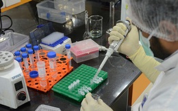 Ấn Độ phát hiện 240 chủng biến thể COVID-19