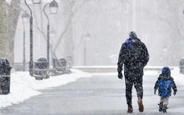 Ca Covid-19 có lượng virus gấp 51.148 lần bình thường làm đau đầu các nhà khoa học