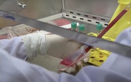 Mỹ phê chuẩn phương pháp điều trị COVID-19 kết hợp hai kháng thể