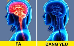 Cơ thể thay đổi thế nào khi chúng ta yêu? Tình yêu có tác động đến sức khỏe nhiều hơn bạn tưởng, nhưng không phải lúc nào cũng tích cực