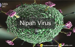 WHO cảnh báo virus Nipah có thể đột biến và gây ra đại dịch tiếp theo