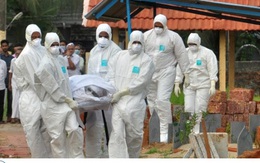 Cảnh báo virus Nipah gây phù não và tỷ lệ tử vong cao gấp 75 lần COVID-19