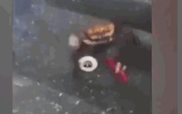 Clip: Sắp bị làm thịt, cua biển cầm dao "tấn công" đầu bếp và cái kết