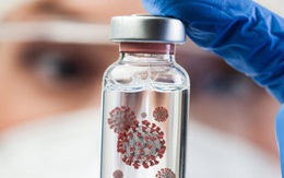 WHO: Phải mất vài năm mới biết nguồn gốc COVID-19