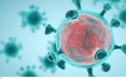 7 điều thế giới học được về COVID-19 sau 1 năm WHO tuyên bố đại dịch toàn cầu