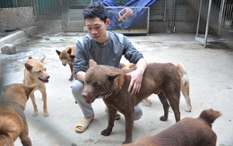 CLIP: Cận cảnh chú chó được ví như "thần may mắn" của người Mông huyện biên giới, trị giá 200 triệu đồng