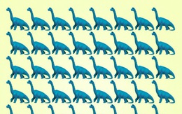 Thách thức thị giác 15 giây: Bạn có nhìn ra con khủng long khác biệt trong đàn?
