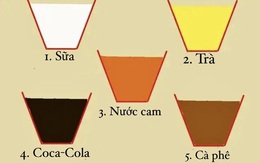 Bạn đang mệt và khát trên sa mạc, bạn sẽ chọn ly nước nào? Câu trả lời tiết lộ điều rất thú vị về chính bạn