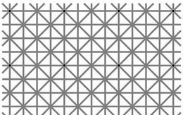 Thách thức thị giác 10 giây: Bạn nhìn thấy bao nhiêu chấm đen trong ảnh?