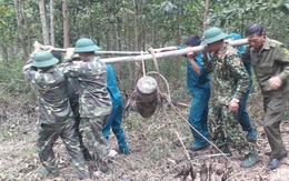 Công binh Nghệ An phá nổ quả bom nặng gần 230 kg