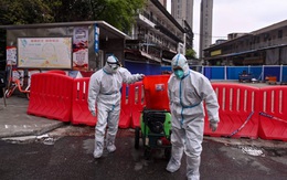 Trung Quốc đã nhận báo cáo 300 trang của WHO về nguồn gốc COVID-19