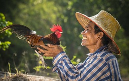 Sự tích tên gọi 'gà Mạnh Hoạch': Từ ông chủ quán trà đá đến chuỗi nhà hàng thương hiệu quốc dân hơn 20 năm tuổi tại Hải Dương