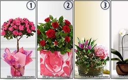 Hãy chọn một bó hoa muốn tặng bạn gái ngày 8/3 để hiểu "thông điệp ngầm" nóng bỏng bạn muốn trao tới nàng là gì
