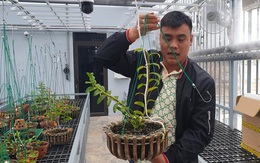 Công an thông tin vụ giao dịch lan đột biến gần 300 tỷ