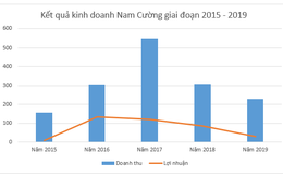 Tập Đoàn Nam Cường: Kinh doanh tụt dốc, lợi nhuận "siêu mỏng" và dòng tiền âm nặng