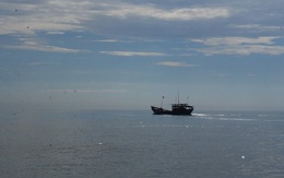 Tàu hàng "khủng" đâm chìm tàu cá ngư dân Quảng Bình rồi bỏ chạy